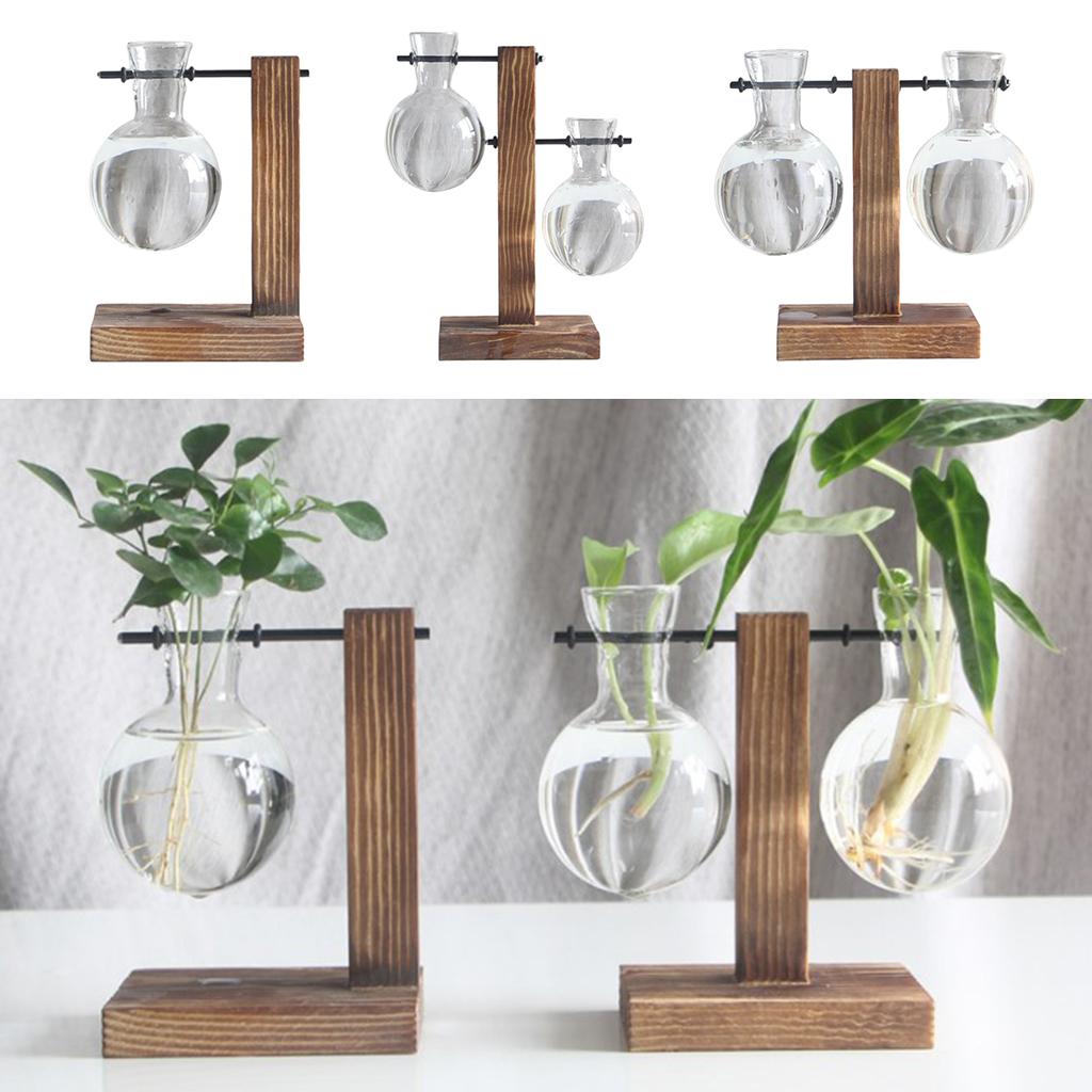 Aloe Vera Pot - Hydroponic Test Tube Flower Bud Vase