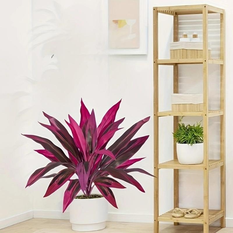 60cm Tall Artificial Dracaena  - Dracaena Marginata recension och pris