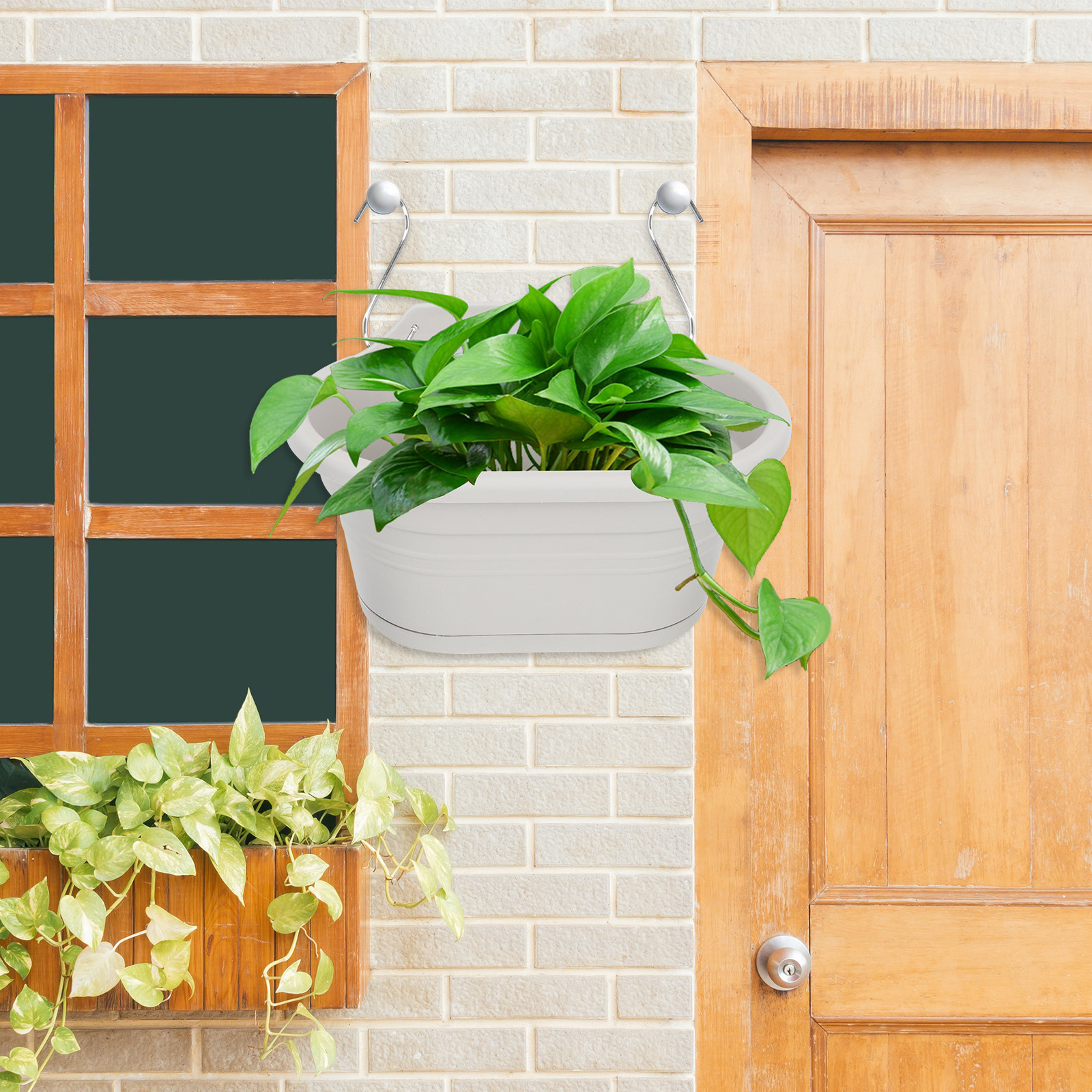 1Set Wall Hanging Flower Pot S - Spider Plant Hanging recension och pris