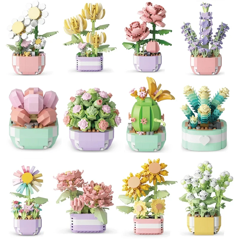 Flower Succulents Building Blo - Echeveria Succulent recension och pris