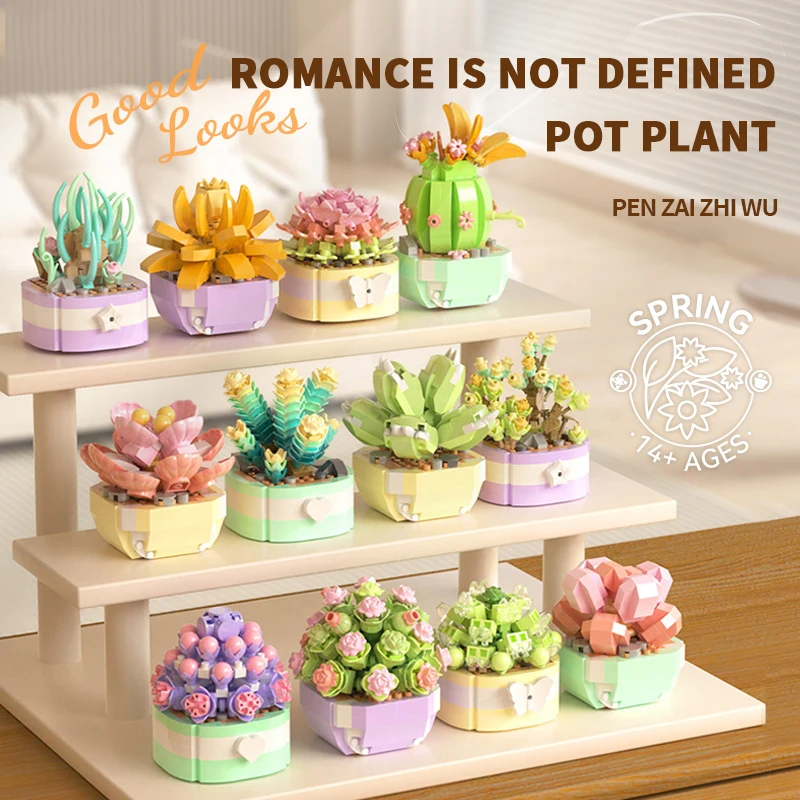 Flower Succulents Building Blo - Echeveria Succulent recension och pris