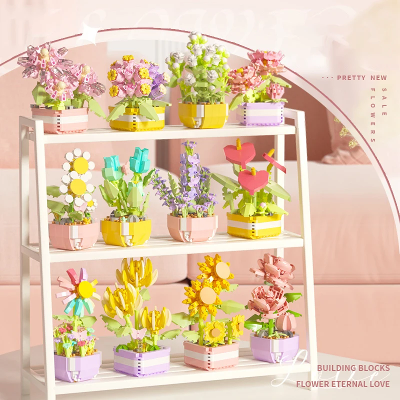 Flower Succulents Building Blo - Echeveria Succulent recension och pris