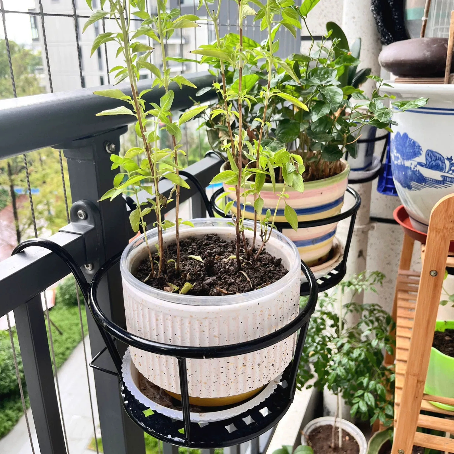 Wrought Iron Balcony Hanging F - Spider Plant Hanging recension och pris