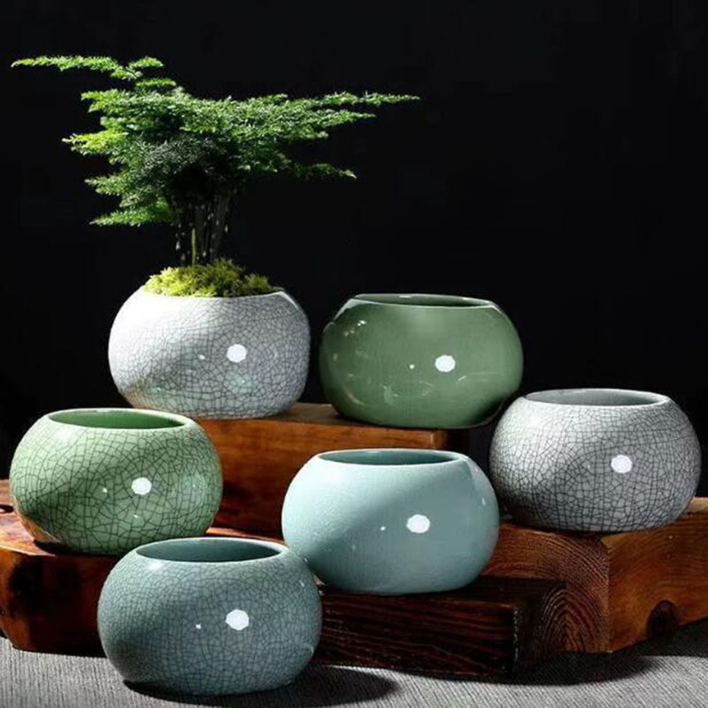 Creative Handmade Geyao Ice Cr - Pilea Peperomioides recension och pris