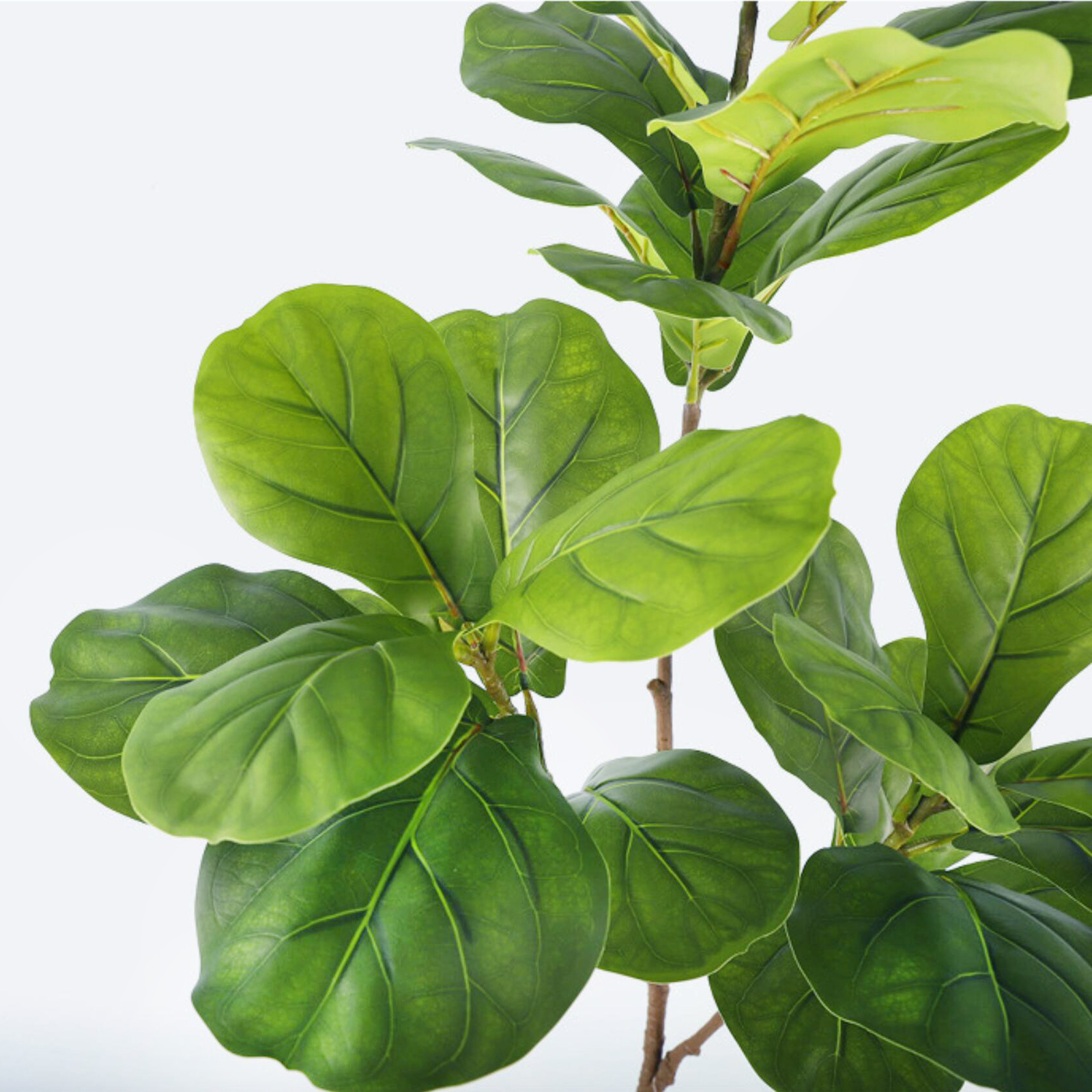 45-135cm  Artificial Fiddle Le - Ficus Lyrata Tree recension och pris
