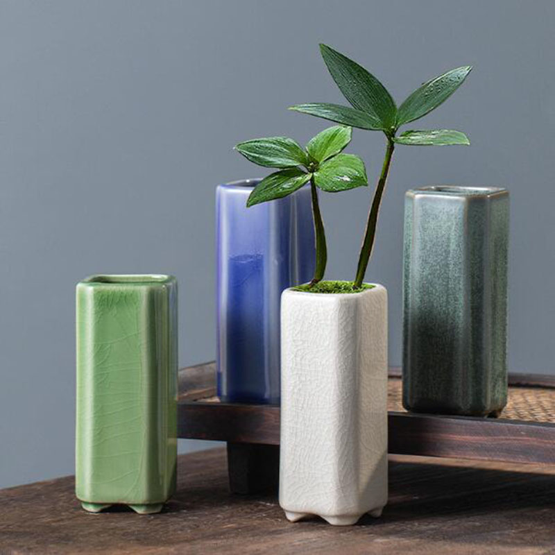 Ice Crack Quadrangular Tangent - Pilea Peperomioides recension och pris