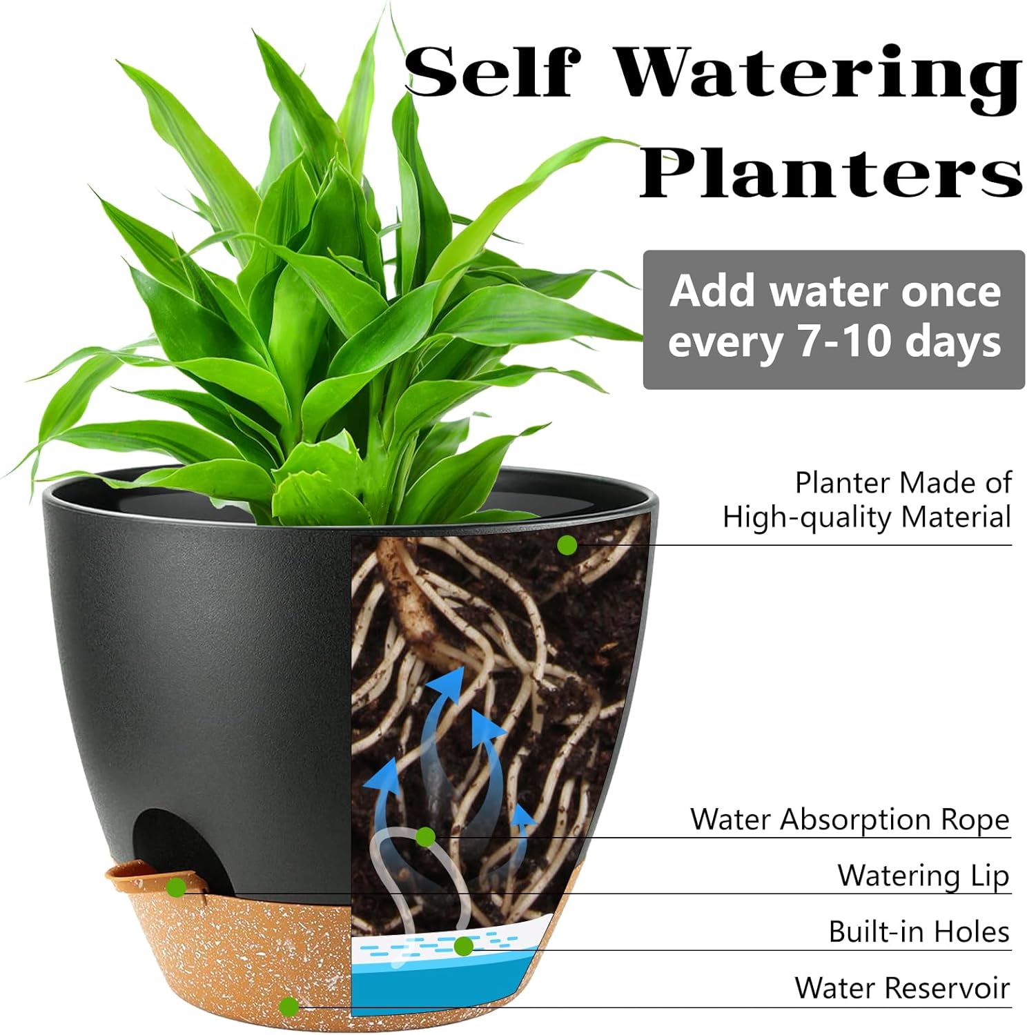 Self Watering Plant Pots with  - Echeveria Succulent recension och pris