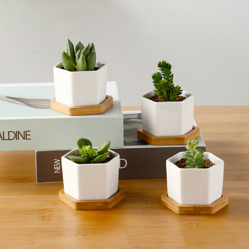Ceramic Flowerpot White Hexago - Aloe Vera Pot recension och pris