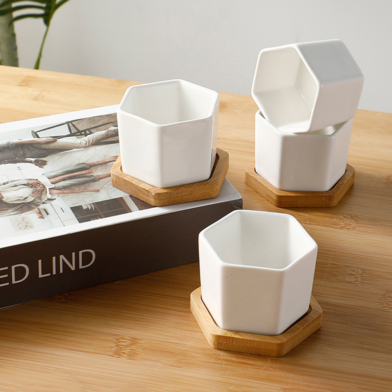 Ceramic Flowerpot White Hexago - Aloe Vera Pot recension och pris