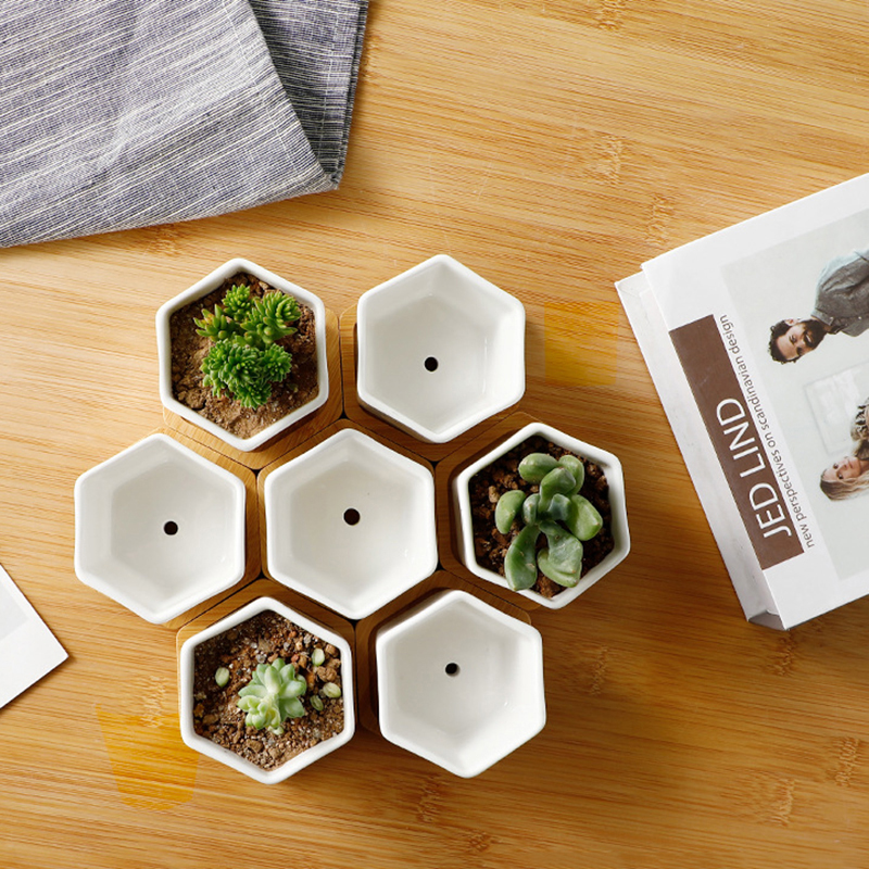 Ceramic Flowerpot White Hexago - Aloe Vera Pot recension och pris