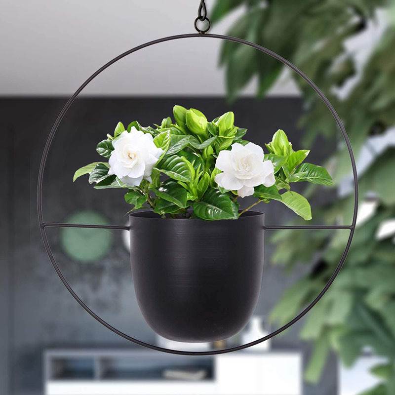 Hanging Iron Art Plant Pots Ba - Spider Plant Hanging recension och pris