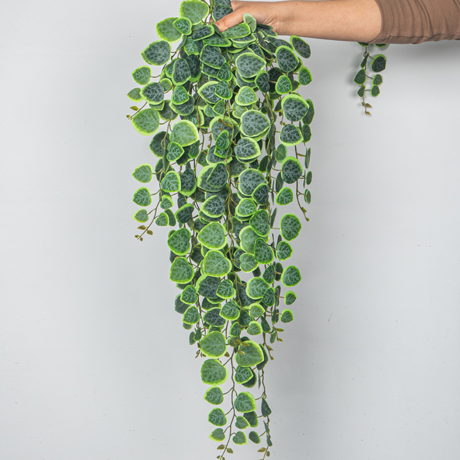 60-80cm Artificial Hanging Vin - Pilea Peperomioides recension och pris