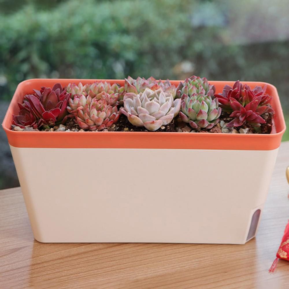 Multi-function Double Layer Fl - Aloe Vera Pot recension och pris