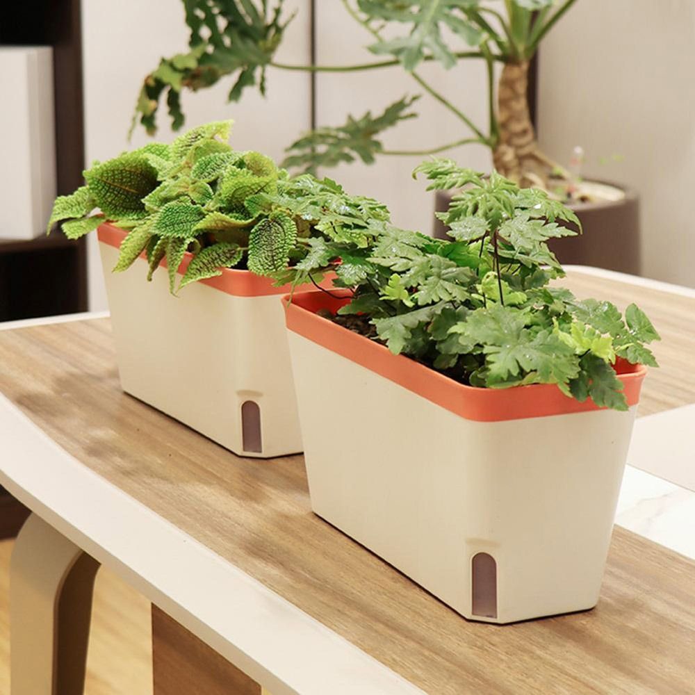 Multi-function Double Layer Fl - Aloe Vera Pot recension och pris
