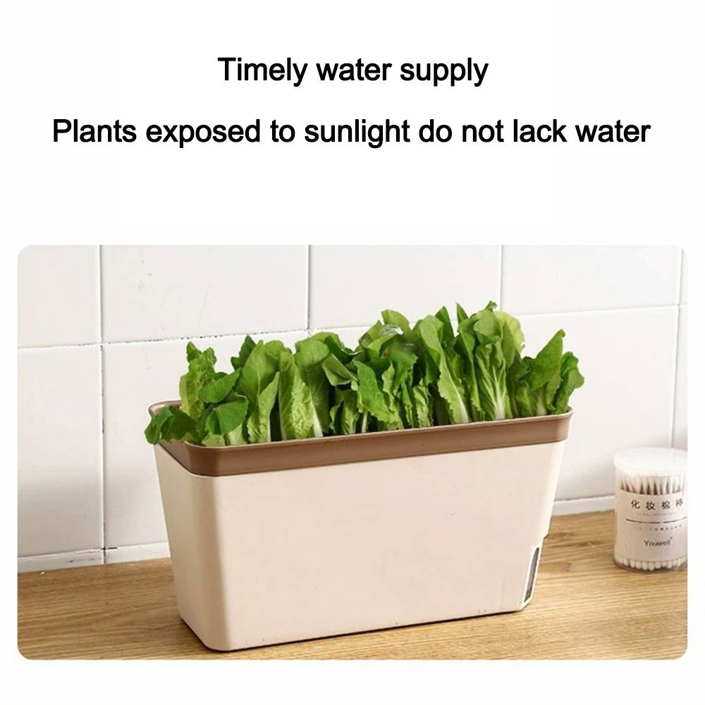 Multi-function Double Layer Fl - Aloe Vera Pot recension och pris