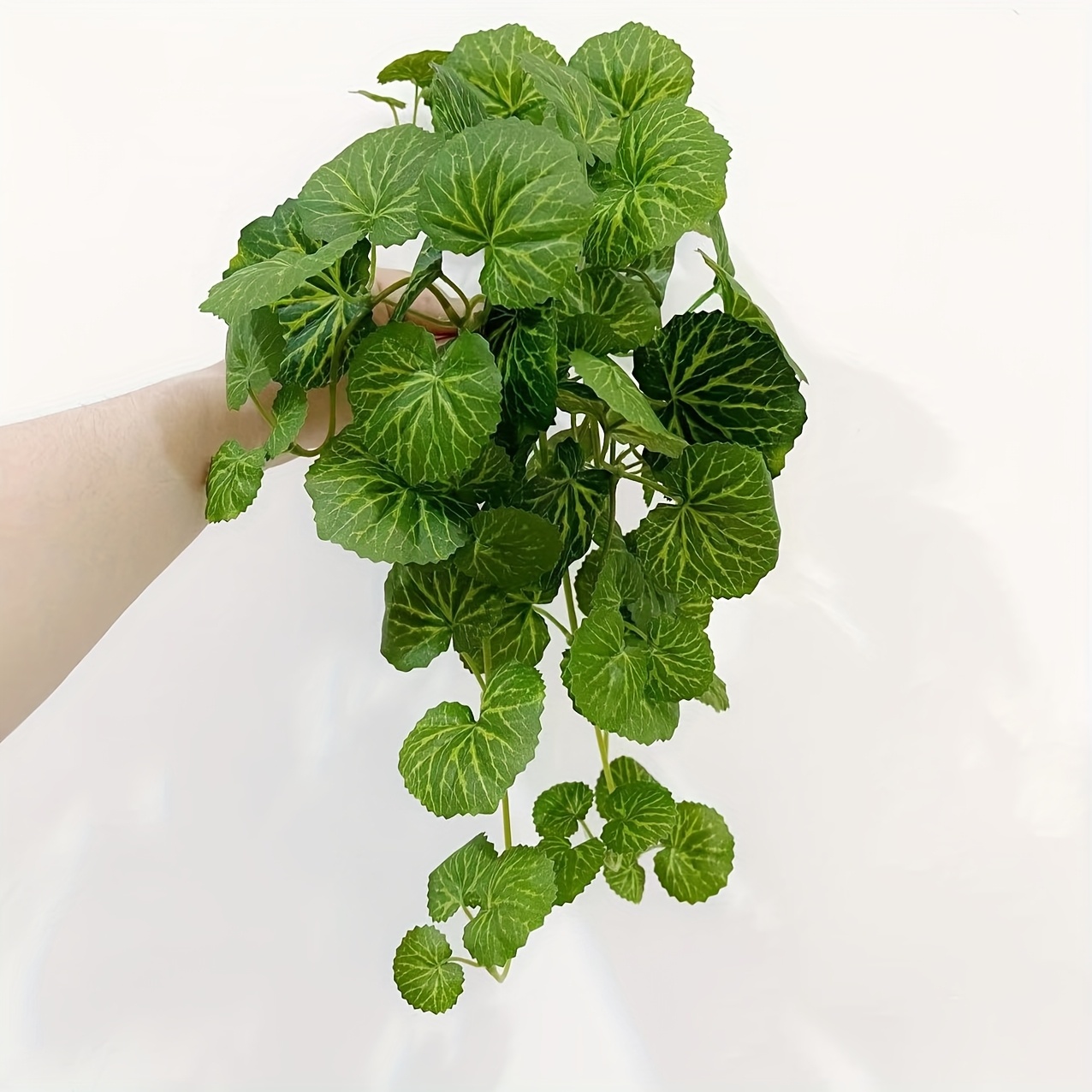 An artificial hanging vine pla - Pilea Peperomioides recension och pris