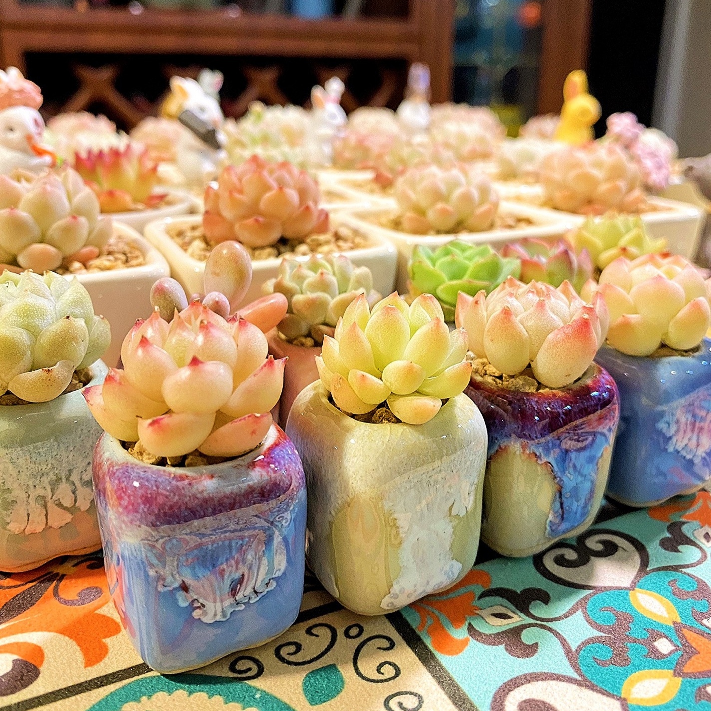 10Pcs Mini Ceramics Fowerpot M - Echeveria Succulent recension och pris