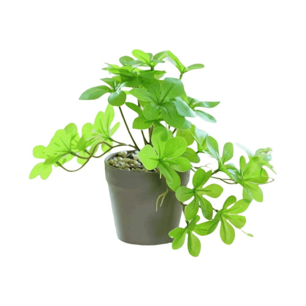 Bonsai Artificial Bonsai Plant - Spider Plant Hanging recension och pris