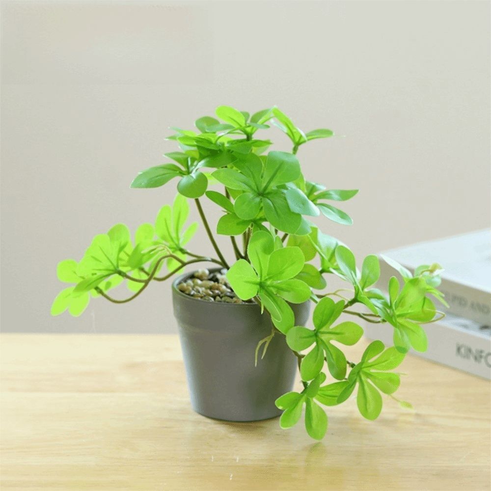 Bonsai Artificial Bonsai Plant - Spider Plant Hanging recension och pris