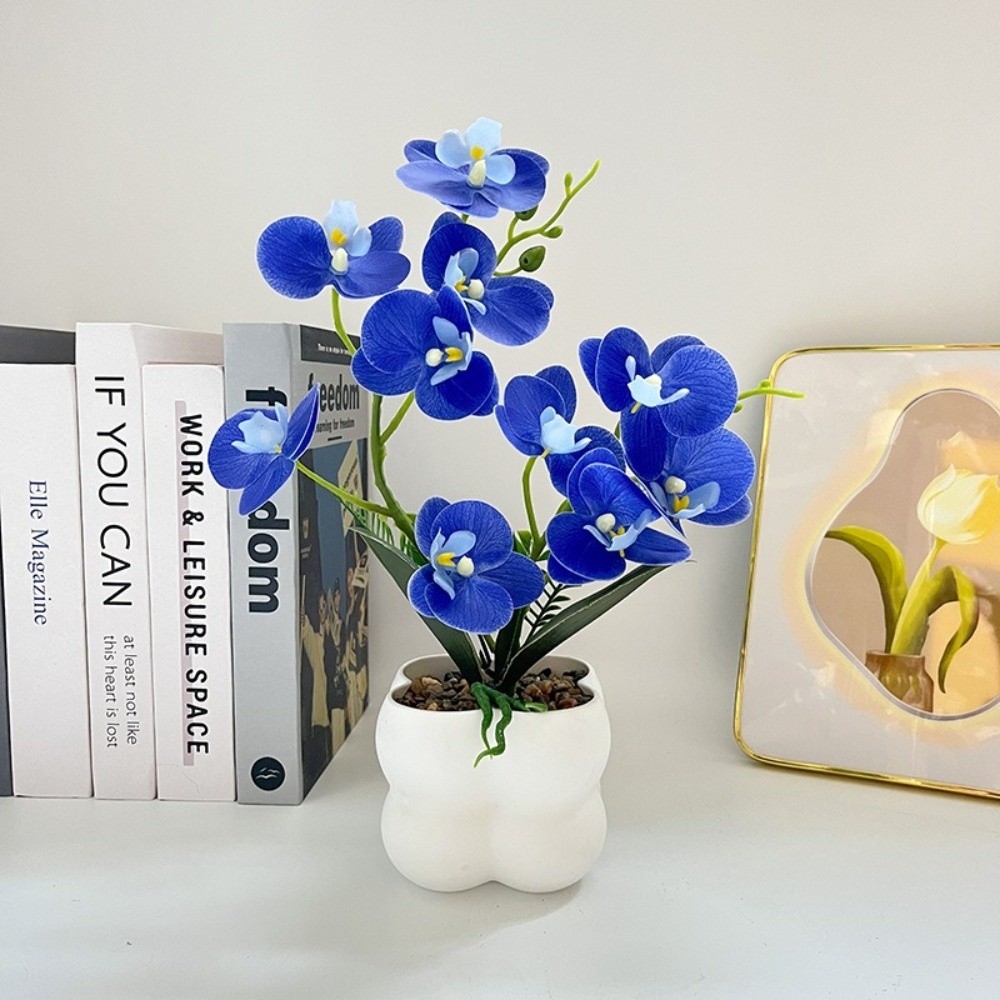 Multi-Bloom Simulated Butterfl - Pilea Peperomioides recension och pris