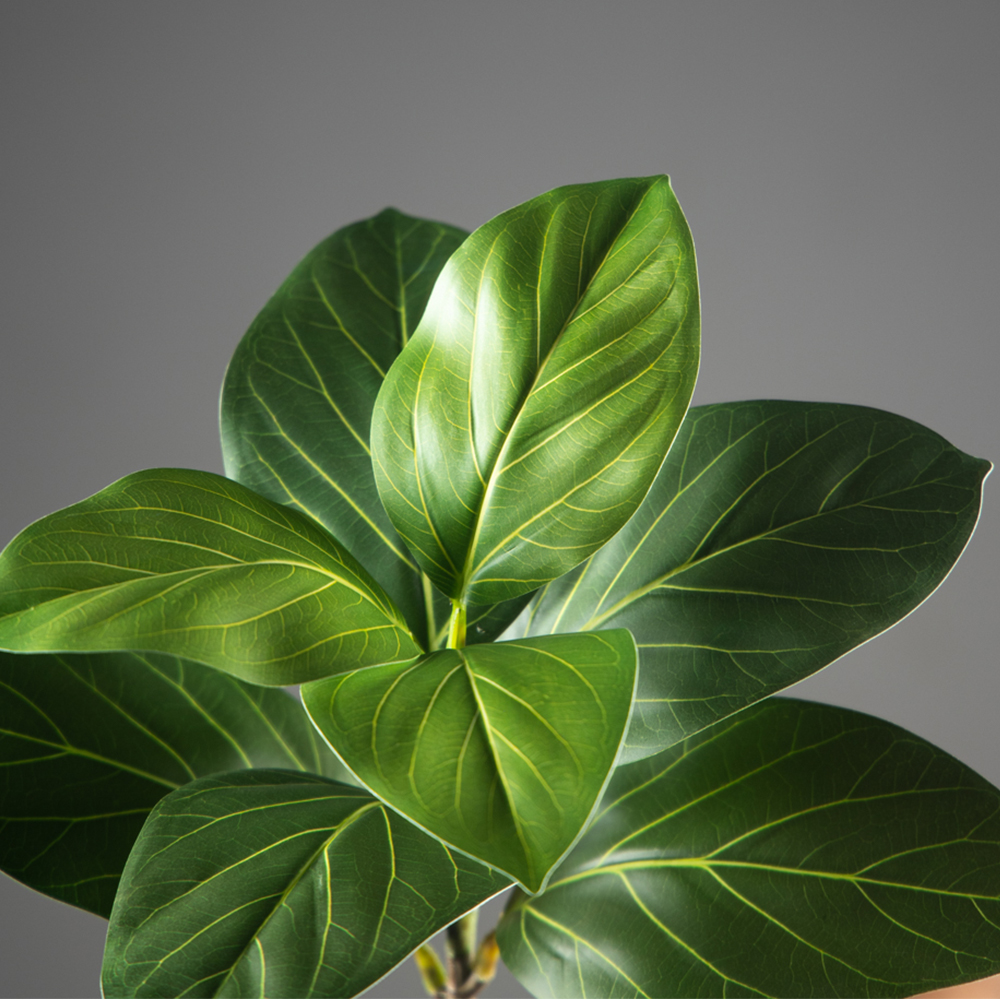 70-130cm Large Artificial Bany - Ficus Lyrata Tree recension och pris