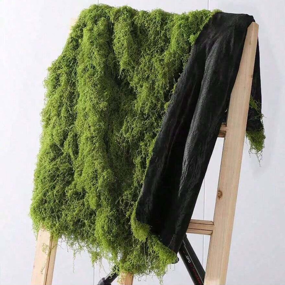 1*1m Fake Moss DIY Crafts Gras - Pilea Peperomioides recension och pris