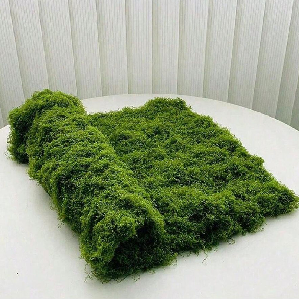 1*1m Fake Moss DIY Crafts Gras - Pilea Peperomioides recension och pris