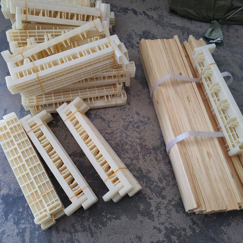 Bee Breeding Frames Plastic Ch - Begonia Rex recension och pris