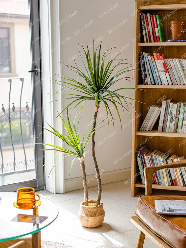 Light Luxury Simulation Green  - Dracaena Marginata recension och pris