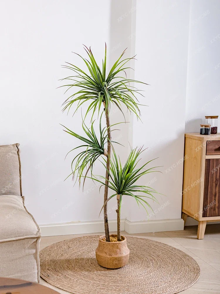 Light Luxury Simulation Green  - Dracaena Marginata recension och pris