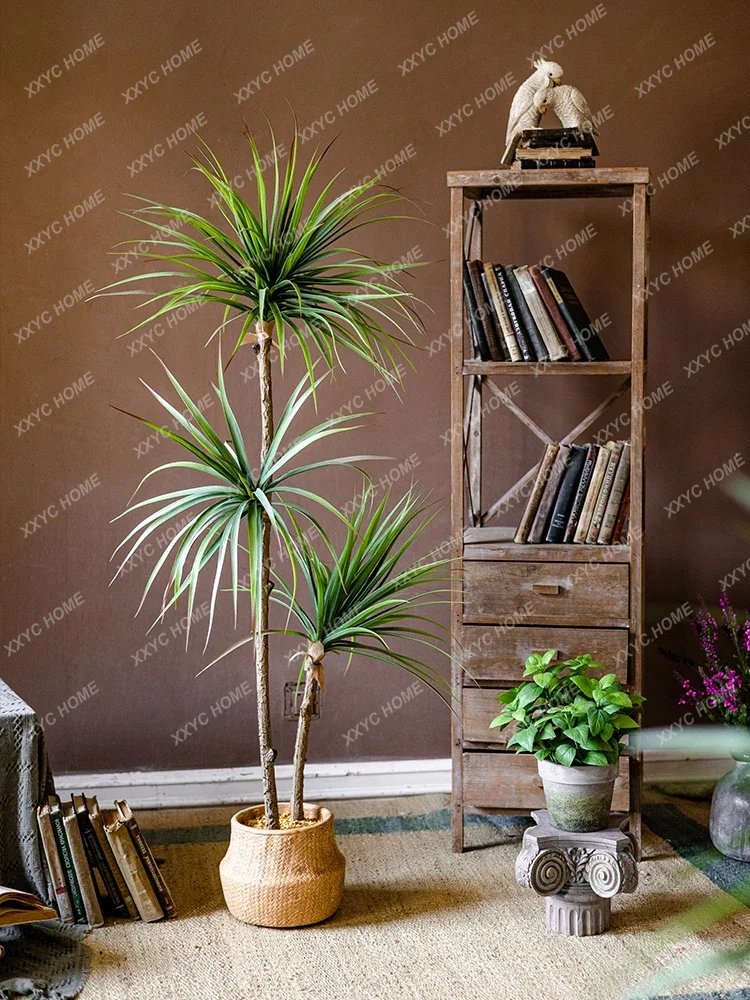 Light Luxury Simulation Green  - Dracaena Marginata recension och pris