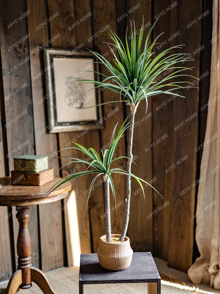 Light Luxury Simulation Green  - Dracaena Marginata recension och pris