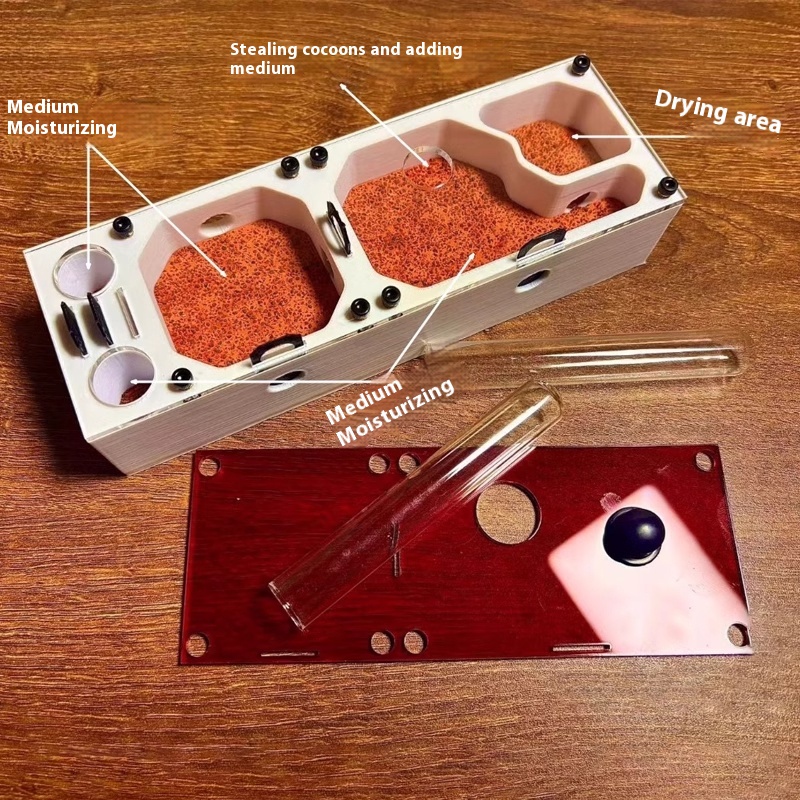 Ant Farm mini CC with External - Begonia Rex recension och pris