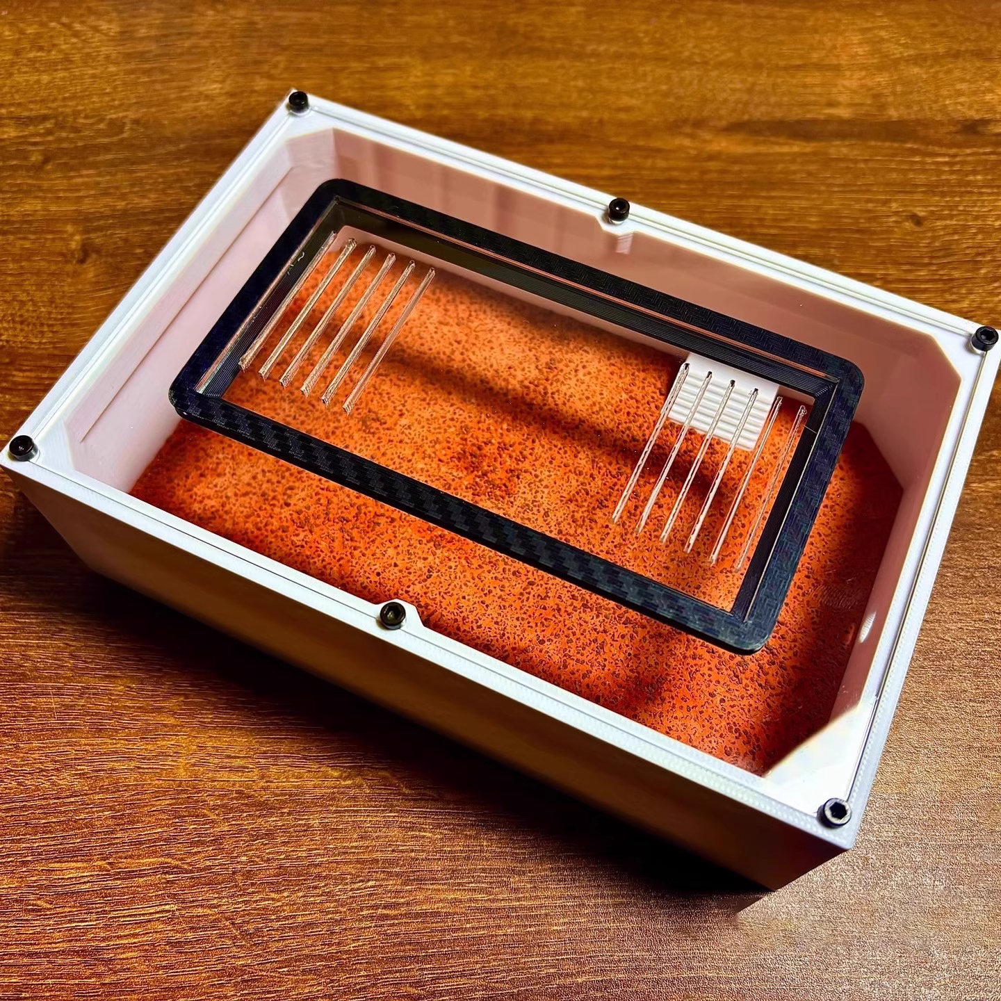 Ant Farm mini CC with External - Begonia Rex recension och pris