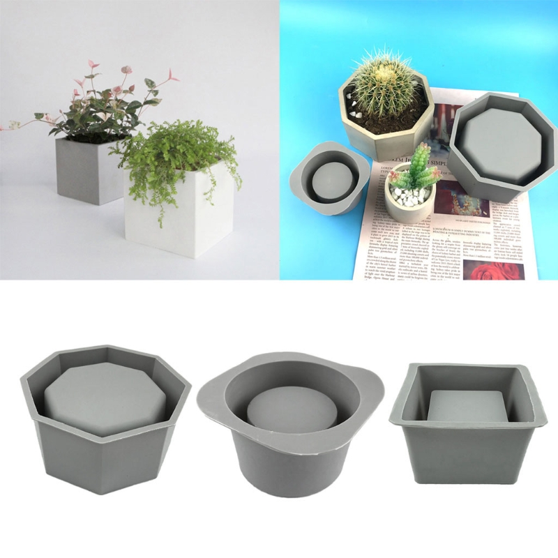 Handmade Succulent Planter Flo - Echeveria Succulent recension och pris