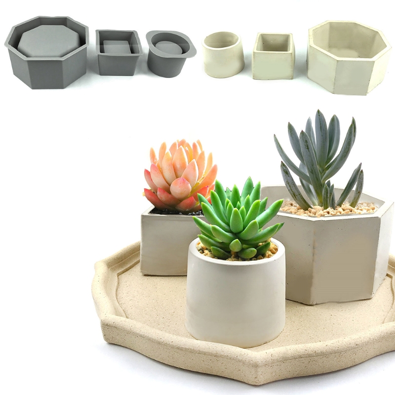 Handmade Succulent Planter Flo - Echeveria Succulent recension och pris