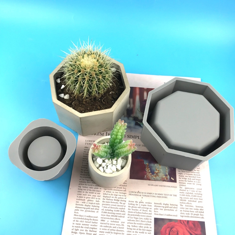 Handmade Succulent Planter Flo - Echeveria Succulent recension och pris