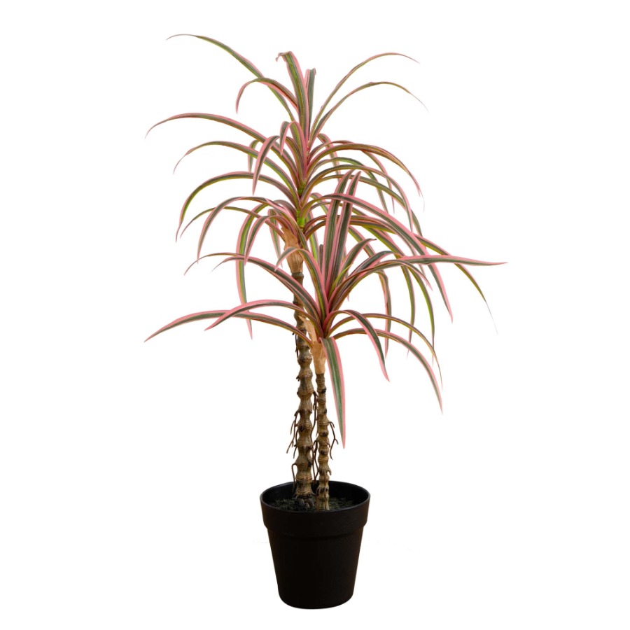 Dracaena Marginata Artificial  - Dracaena Marginata recension och pris