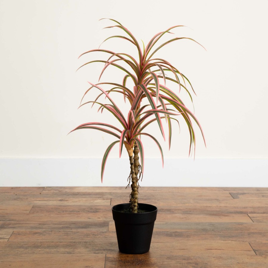 Dracaena Marginata Artificial  - Dracaena Marginata recension och pris
