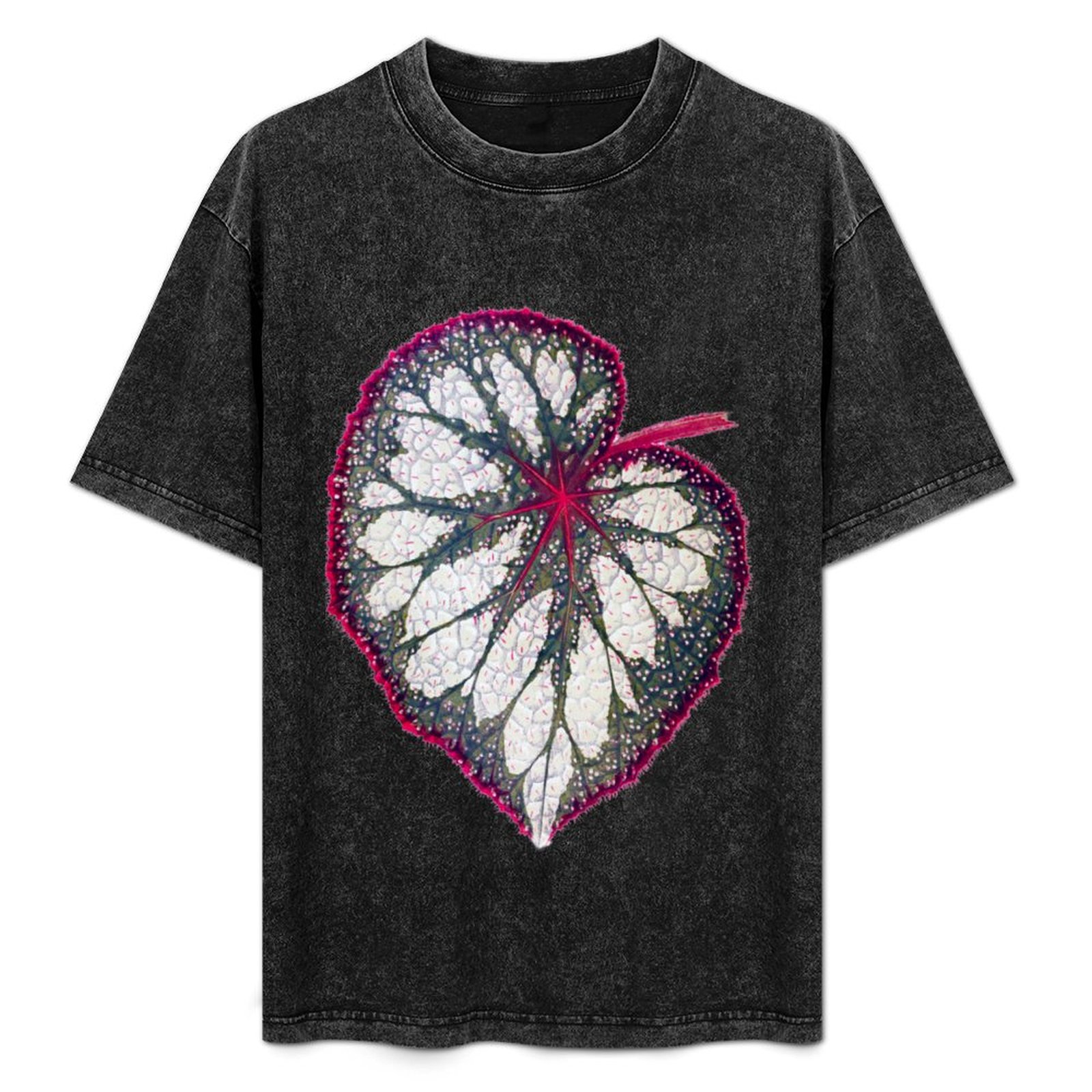 Begonia rex T-Shirt Holiday Si - Begonia Rex recension och pris