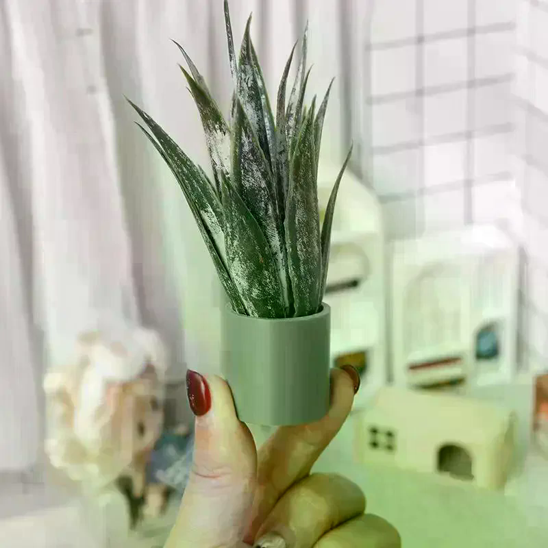 Dollhouse Decor Mini Aloe Vera - Aloe Vera Pot recension och pris