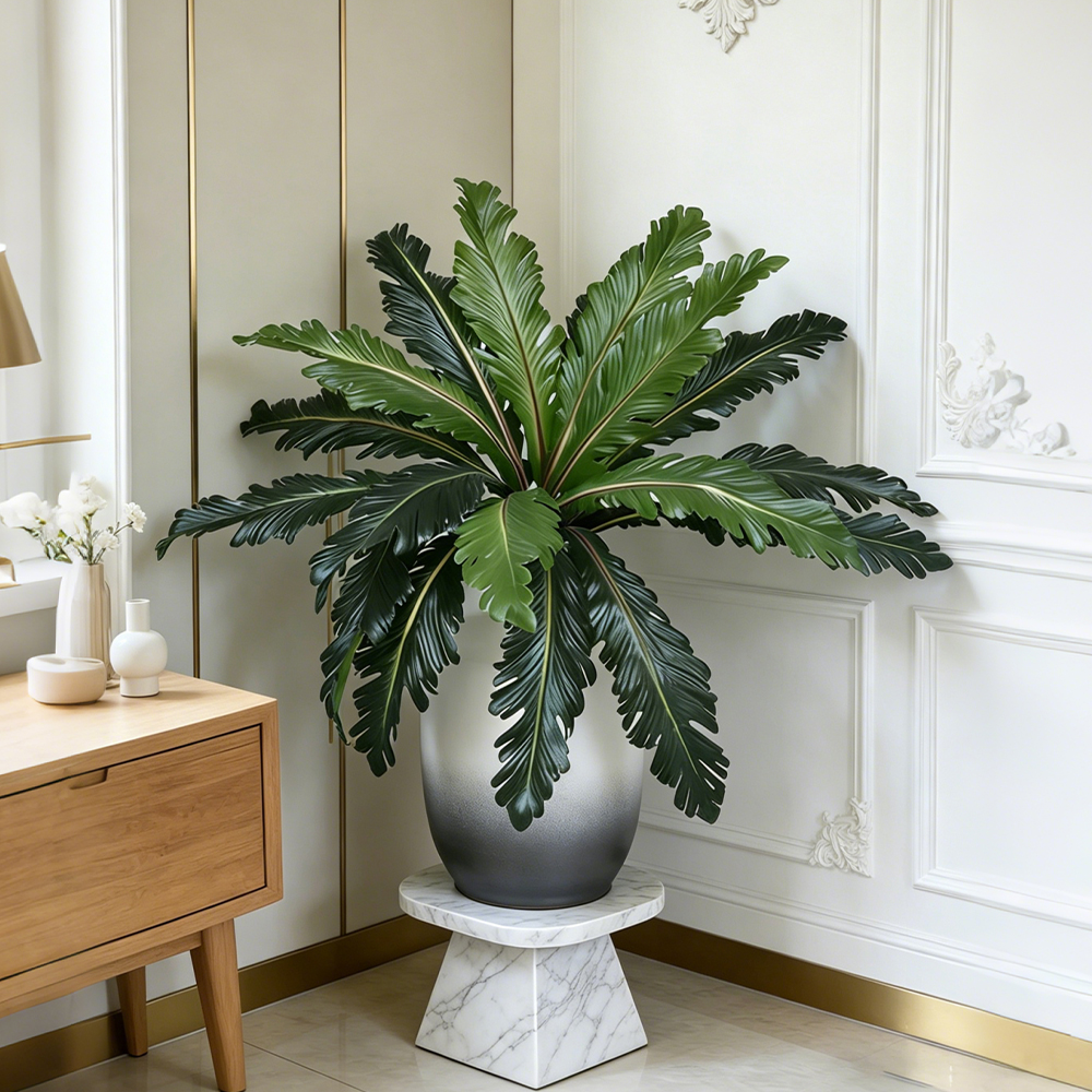 45-50cm Tropical Fake Persian  - Pilea Peperomioides recension och pris