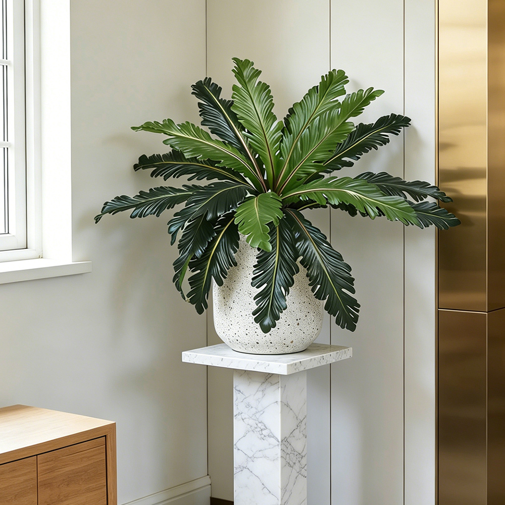 45-50cm Tropical Fake Persian  - Pilea Peperomioides recension och pris