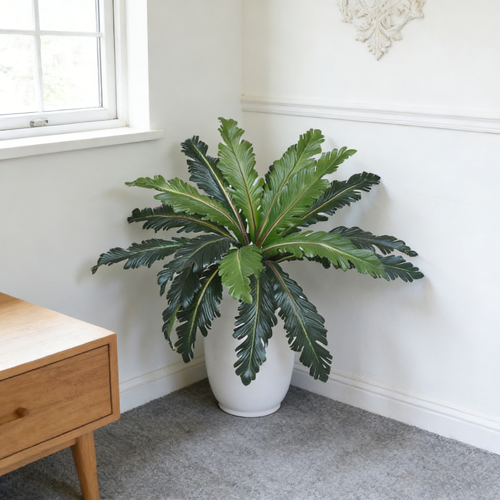 45-50cm Tropical Fake Persian  - Pilea Peperomioides recension och pris