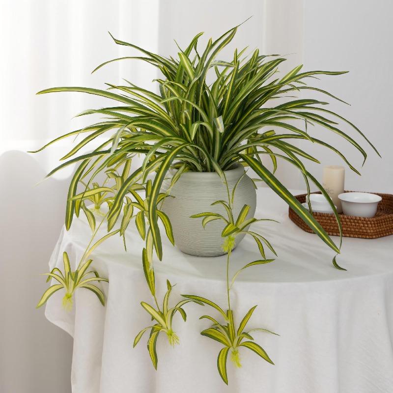 Artificial Spider Plant Chloro - Spider Plant Hanging recension och pris