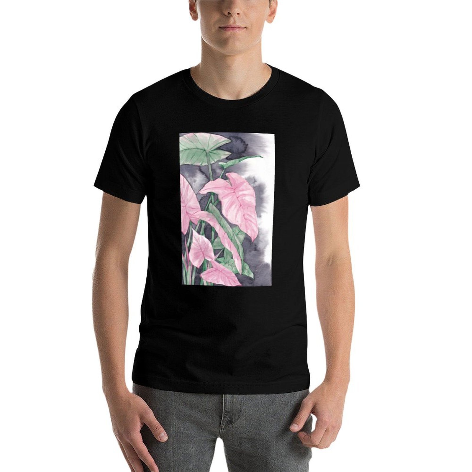 Pink Syngonium Watercolor Pain - Syngonium Pink recension och pris
