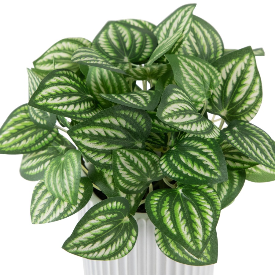 Artificial Watermelon Peperomi - Peperomia Watermelon recension och pris
