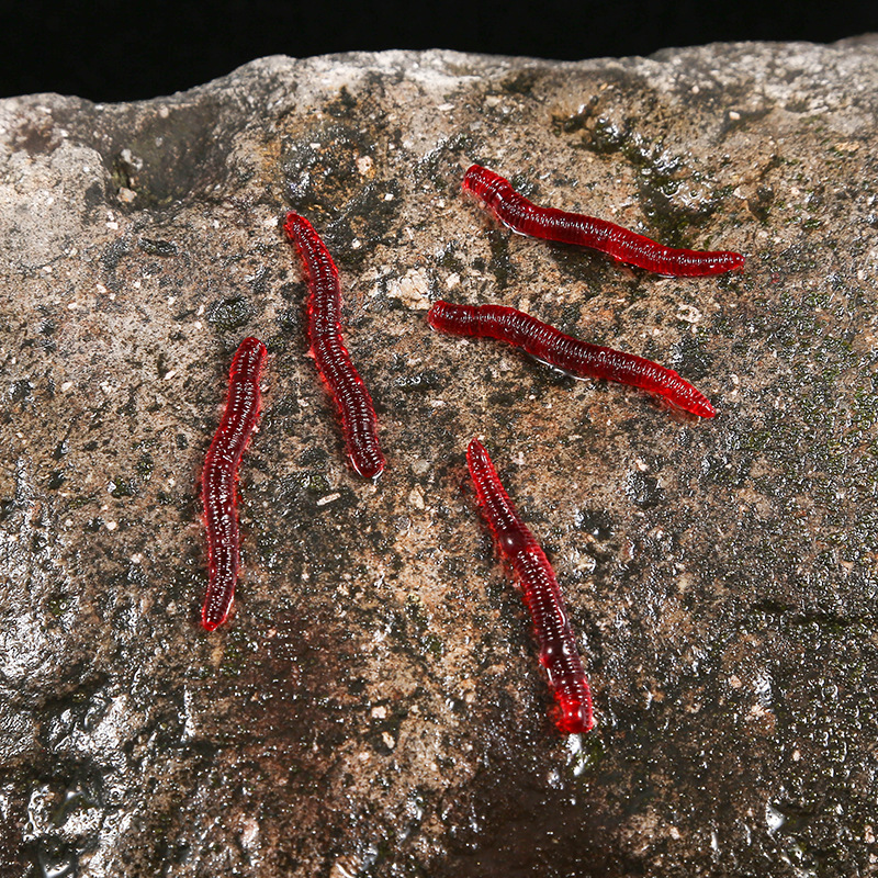 CIBO 50pcs-Artificial Red Worm - Aglaonema Red recension och pris