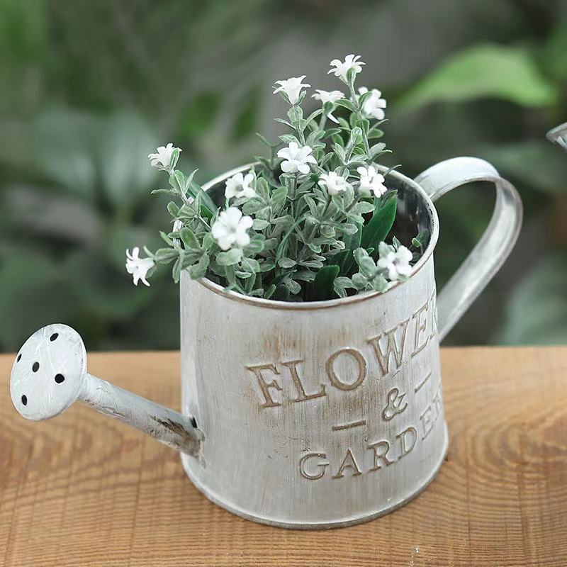 Barrels Garden Decoration Tin  - Pilea Peperomioides recension och pris
