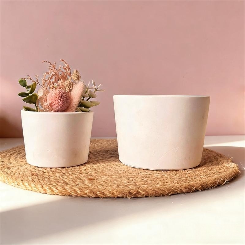Round Plaster Vase Flowerpot C - Echeveria Succulent recension och pris